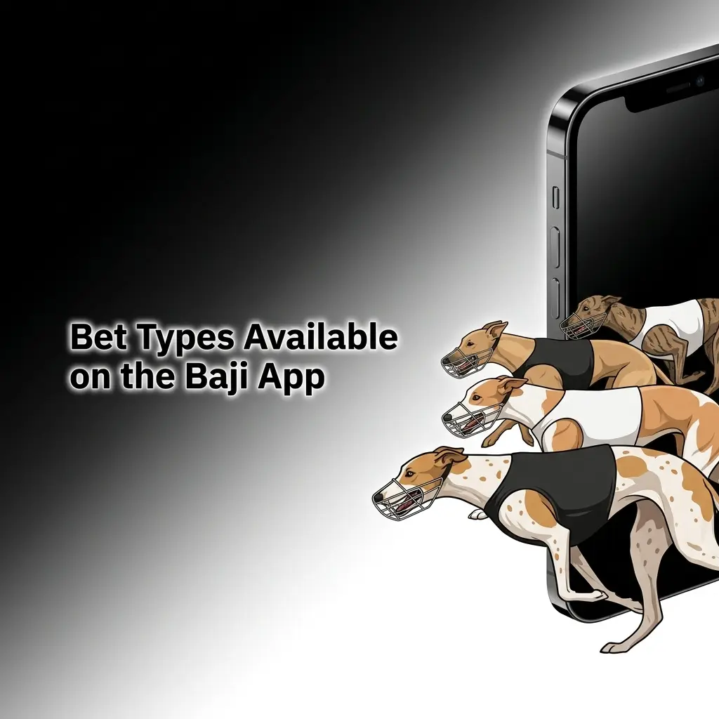 Various bet types on Baji App including single, accumulator, treble, system, and live in-play bets for different strategies